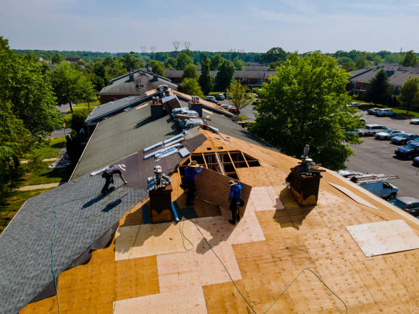 Quick and Trustworthy Emergency Roof Repair Services in Sunnyside, GA